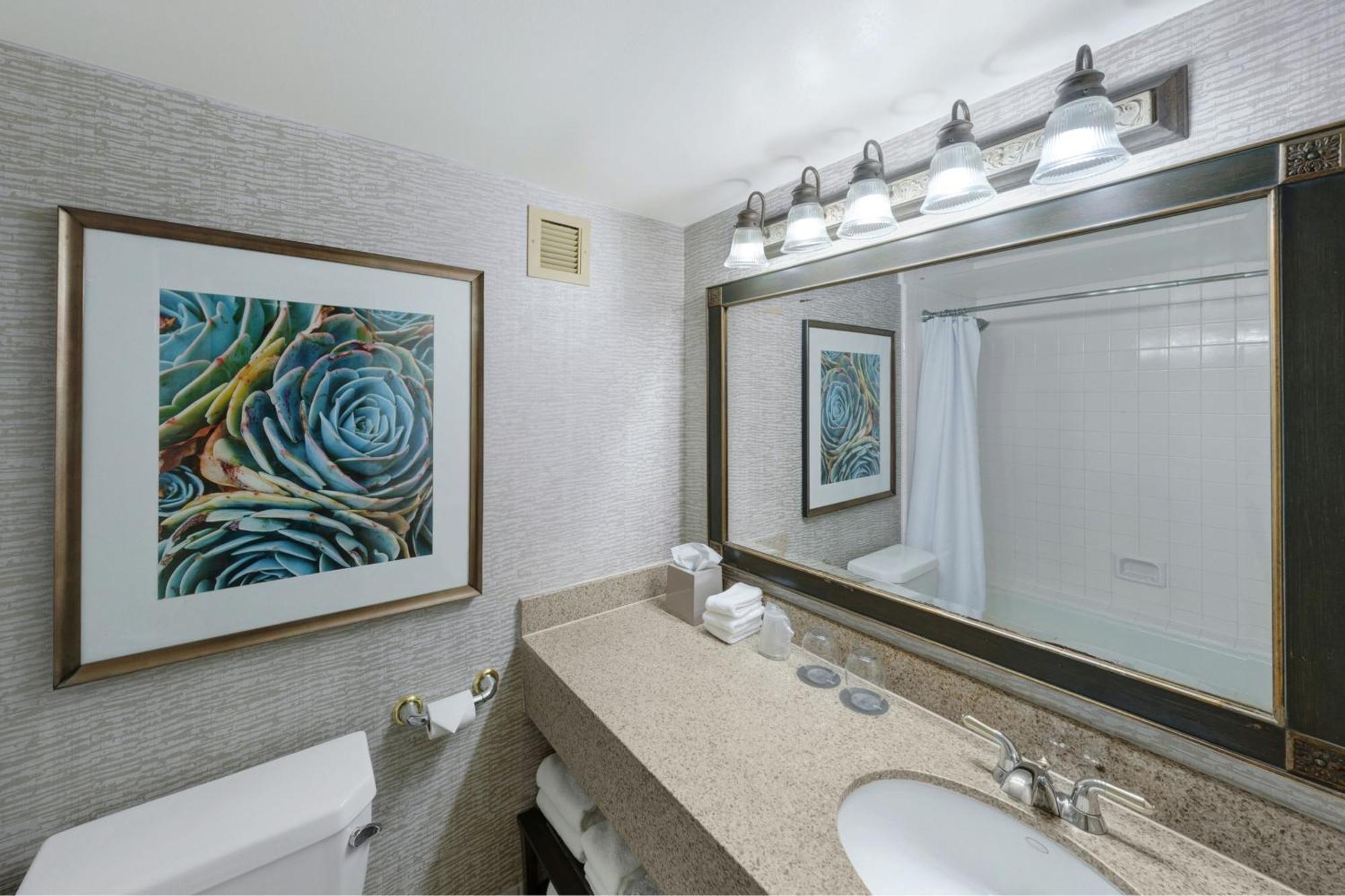 The Westin San Antonio North Ξενοδοχείο Εξωτερικό φωτογραφία